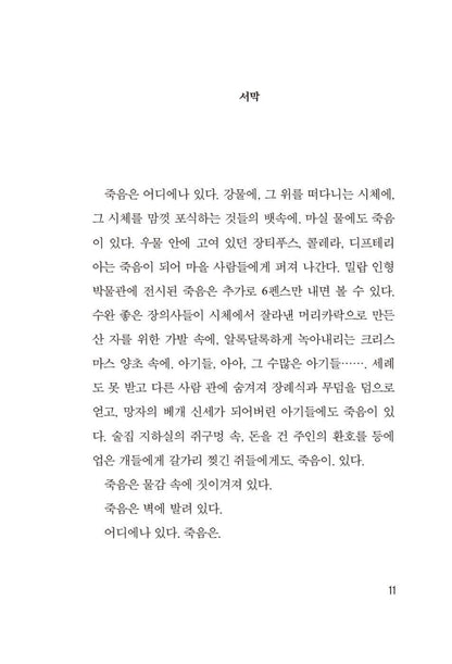 Victorian Psycho by Virginia Feito | Korean Edition | 빅토리안 사이코, 버지나아 페이토