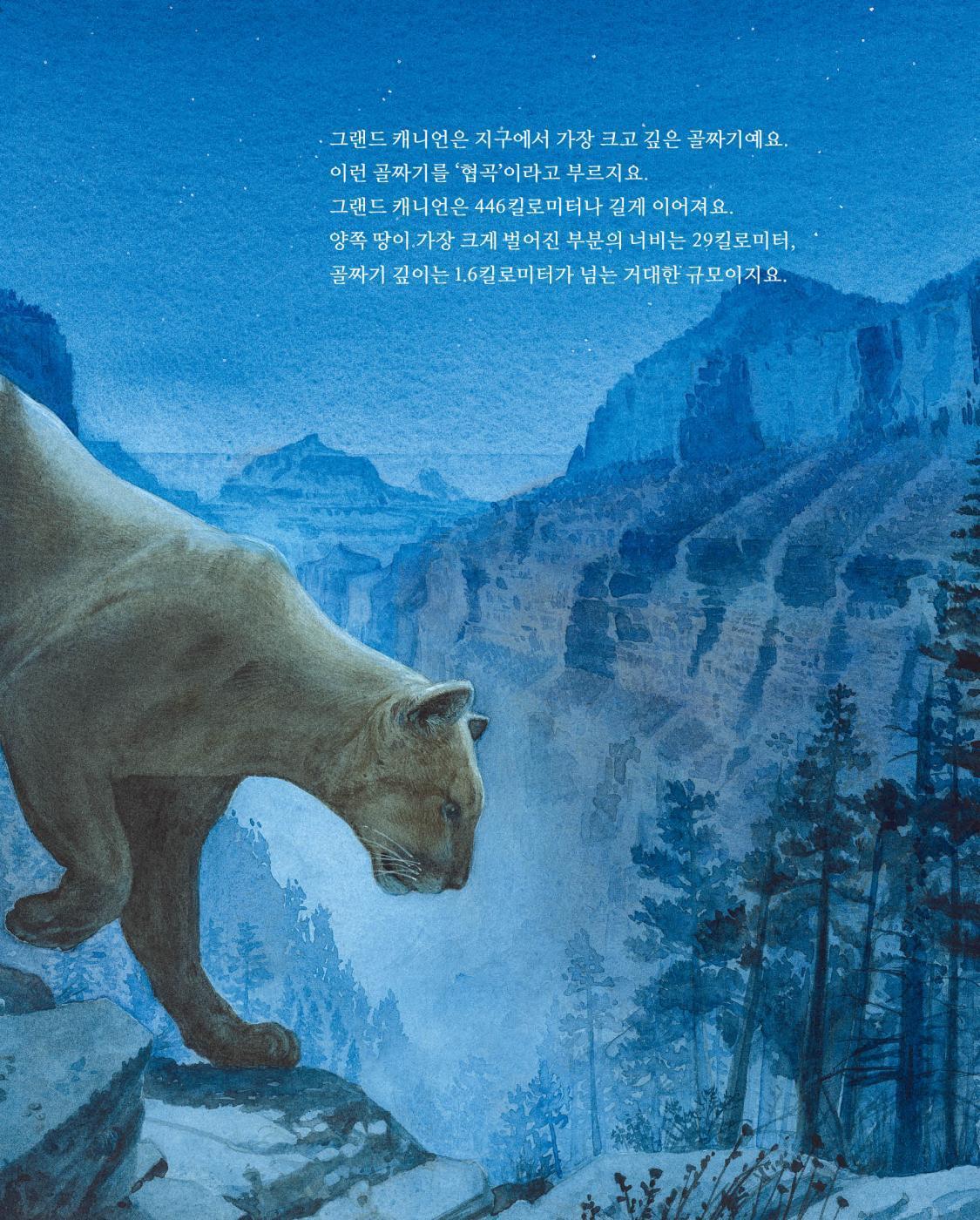 Grand Canyon by Jason Chin | Korean Edition Children's Book