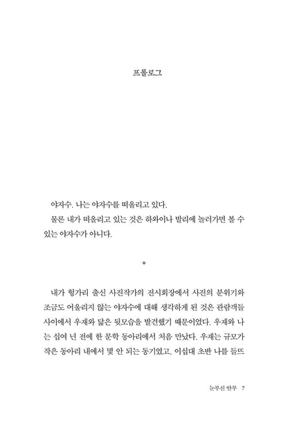 Dazzling Regards by Baek Su-rin Korean Edition
