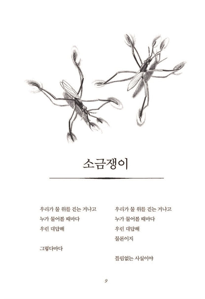Joyful Noise: Poems for Two Voices by Paul Fleischman | Korean Edition Poems