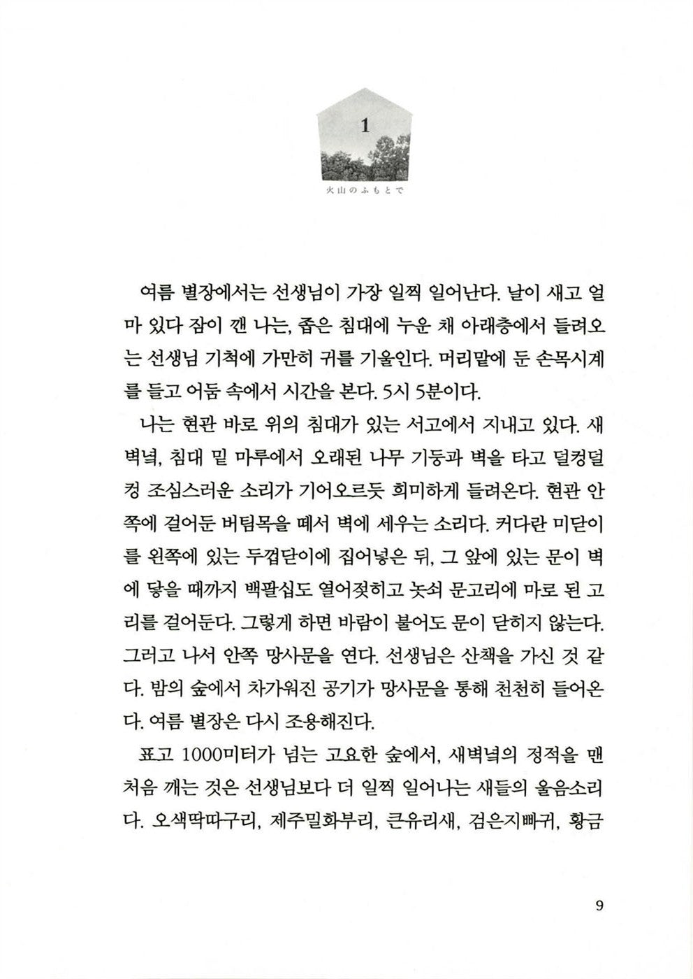 At the Base of the Volcano by Matsuie Masashi, Korean, 여름은 오래 그곳에 남아, 마쓰이에 마사시