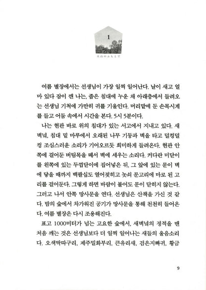 At the Base of the Volcano by Matsuie Masashi, Korean, 여름은 오래 그곳에 남아, 마쓰이에 마사시
