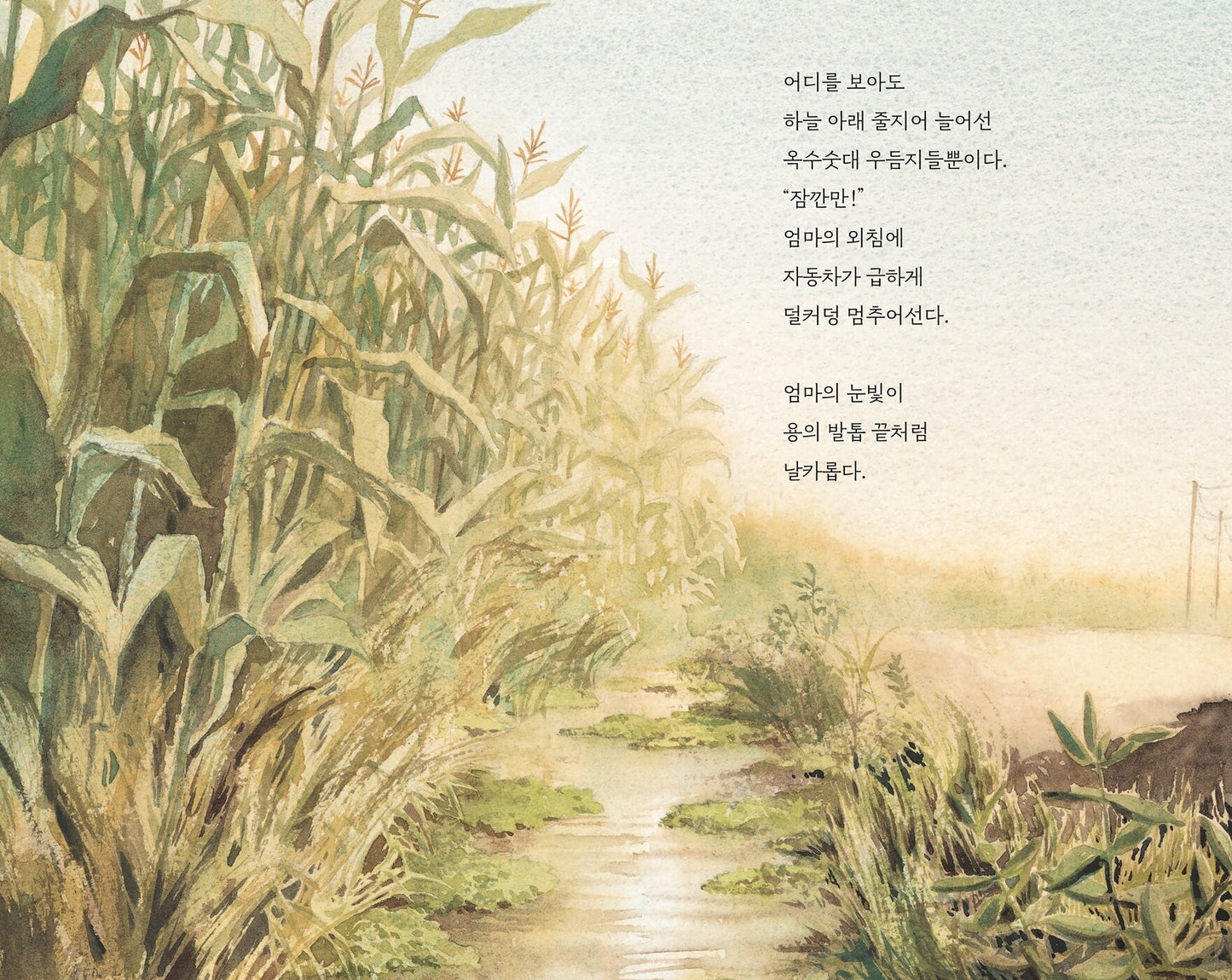 Watercress by Andrea Wang | Korean Edition Picture Books