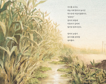 Watercress by Andrea Wang | Korean Edition Picture Books