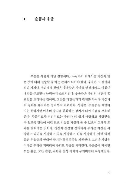 The Noonday Demon Book by Andrew Solomon Korean Edition