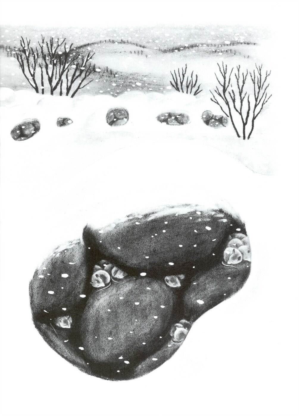 The Happy Day by Ruth Krauss | Korean Edition Picture Books