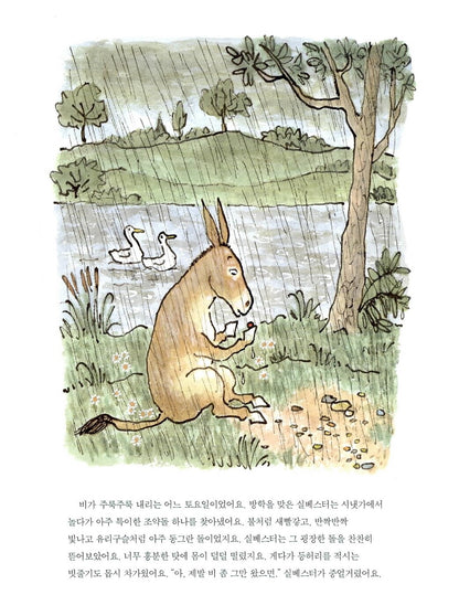 Sylvester and the Magic Pebble by William Steig | Korean Edition Picture Books