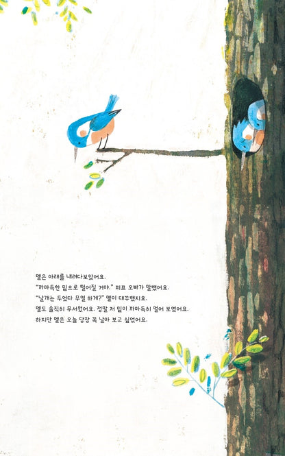 Mel Fell by Corey R. Tabor | Korean Edition Picture Books