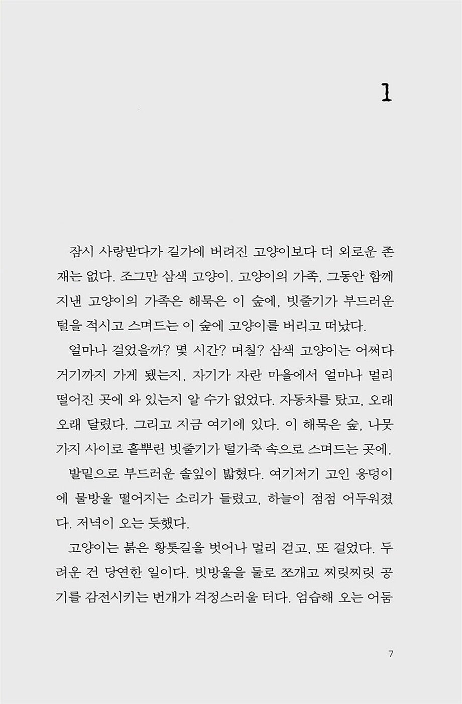 The Underneath by Kathi Appelt | Korean Edition