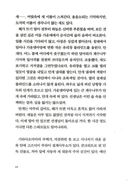 At the Base of the Volcano by Matsuie Masashi, Korean, 여름은 오래 그곳에 남아, 마쓰이에 마사시