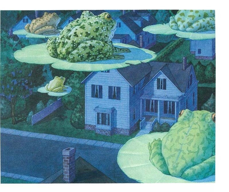 Tuesday by David Wiesner | Korean Edition Children's Book