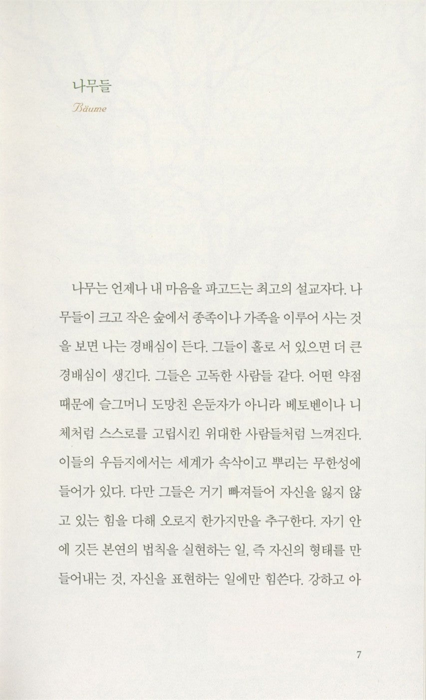 Hermann Hesse's Trees - Korean Edition Essay with Botanical Illustration