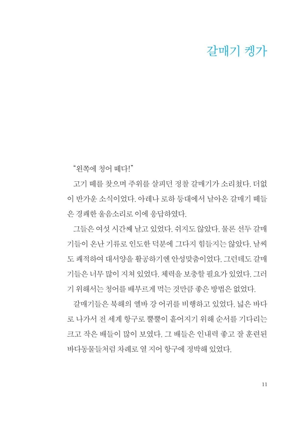 The Story Of A Seagull And The Cat Who Taught Her To Fly by Luis Sepulveda, Korean, 갈매기에게 나는 법을 가르쳐준 고양이