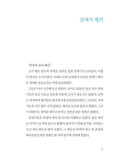 The Story Of A Seagull And The Cat Who Taught Her To Fly by Luis Sepulveda, Korean, 갈매기에게 나는 법을 가르쳐준 고양이