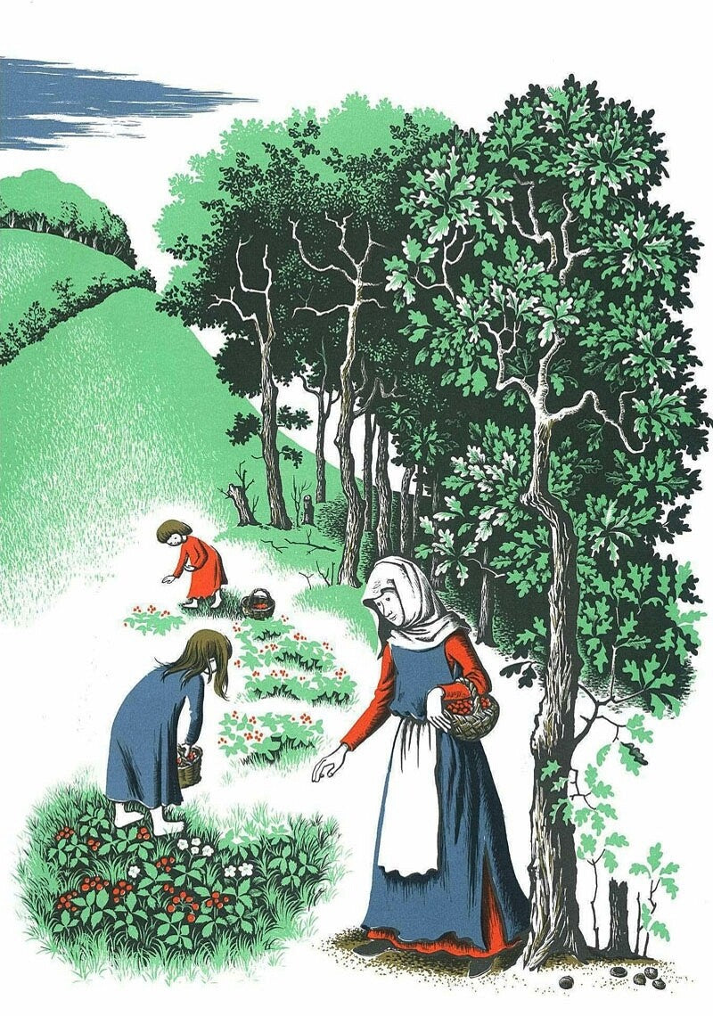 Chanticleer and the Fox by Geoffrey Chaucer | Korean Edition Picture Books