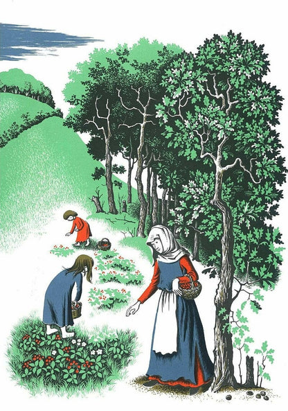 Chanticleer and the Fox by Geoffrey Chaucer | Korean Edition Picture Books