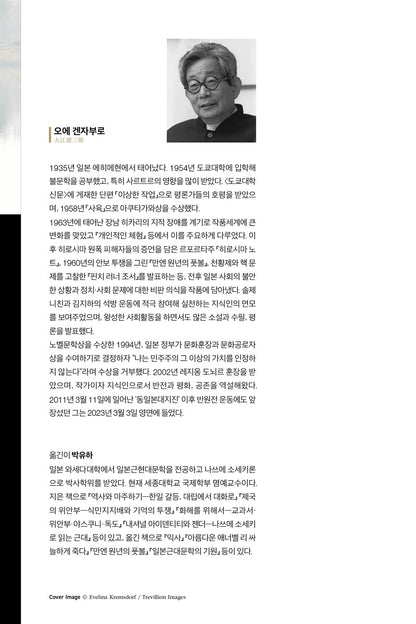 In Late Style by Kenzaburo Oe Korean Edition