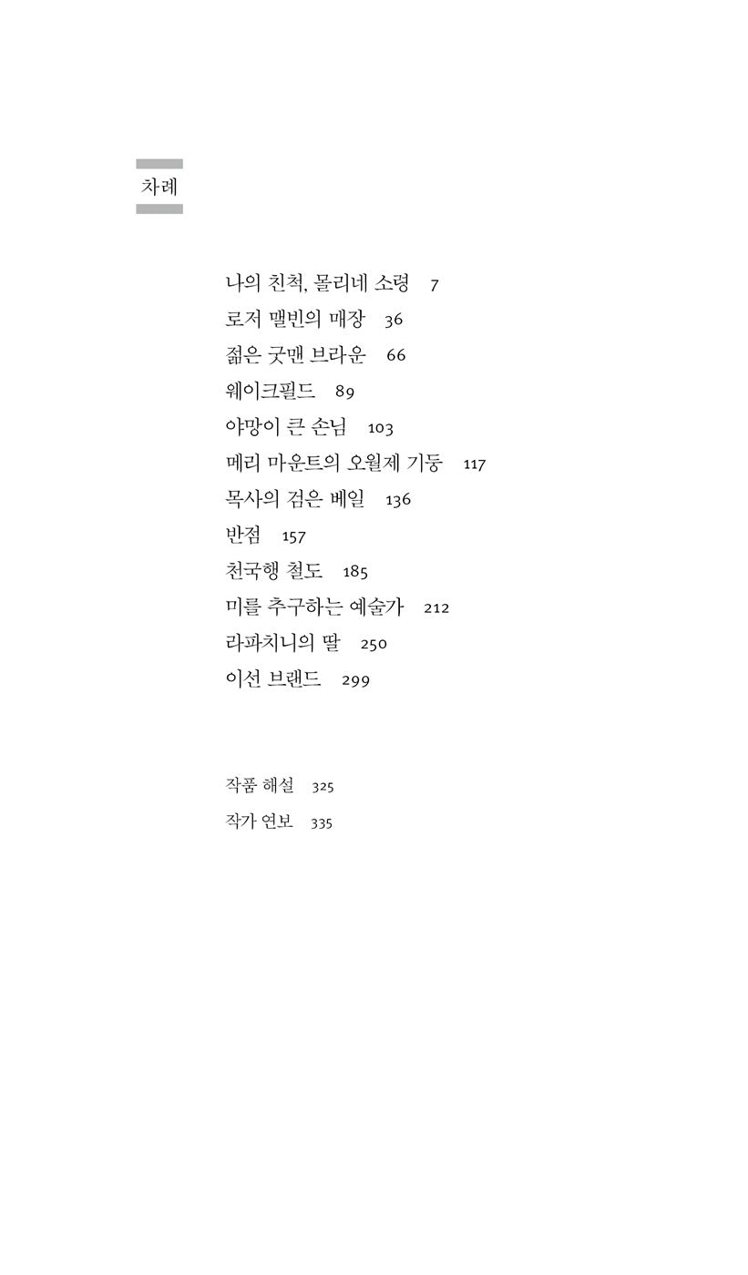 Nathaniel Hawthorne Short Story Collection | Korean Edition