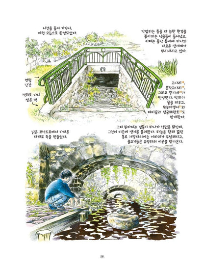 L'Oasis. Petite genèse d'un jardin biodivers by Simon Hureau | Korean