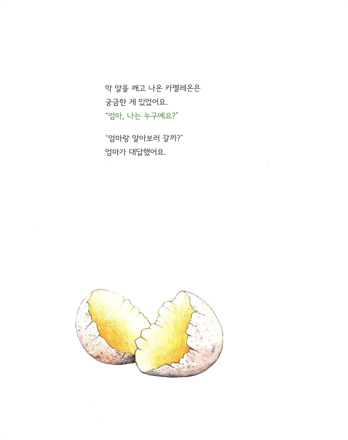 Little Chameleon's Big Question by Caroline Pelissier, Korean, Picture book