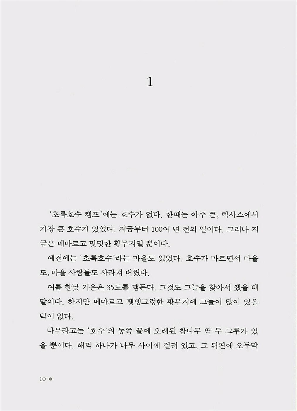 Holes Novel by Louis Sachar | Korean Edition