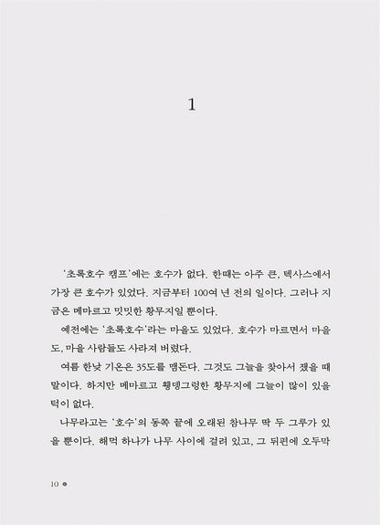Holes Novel by Louis Sachar | Korean Edition