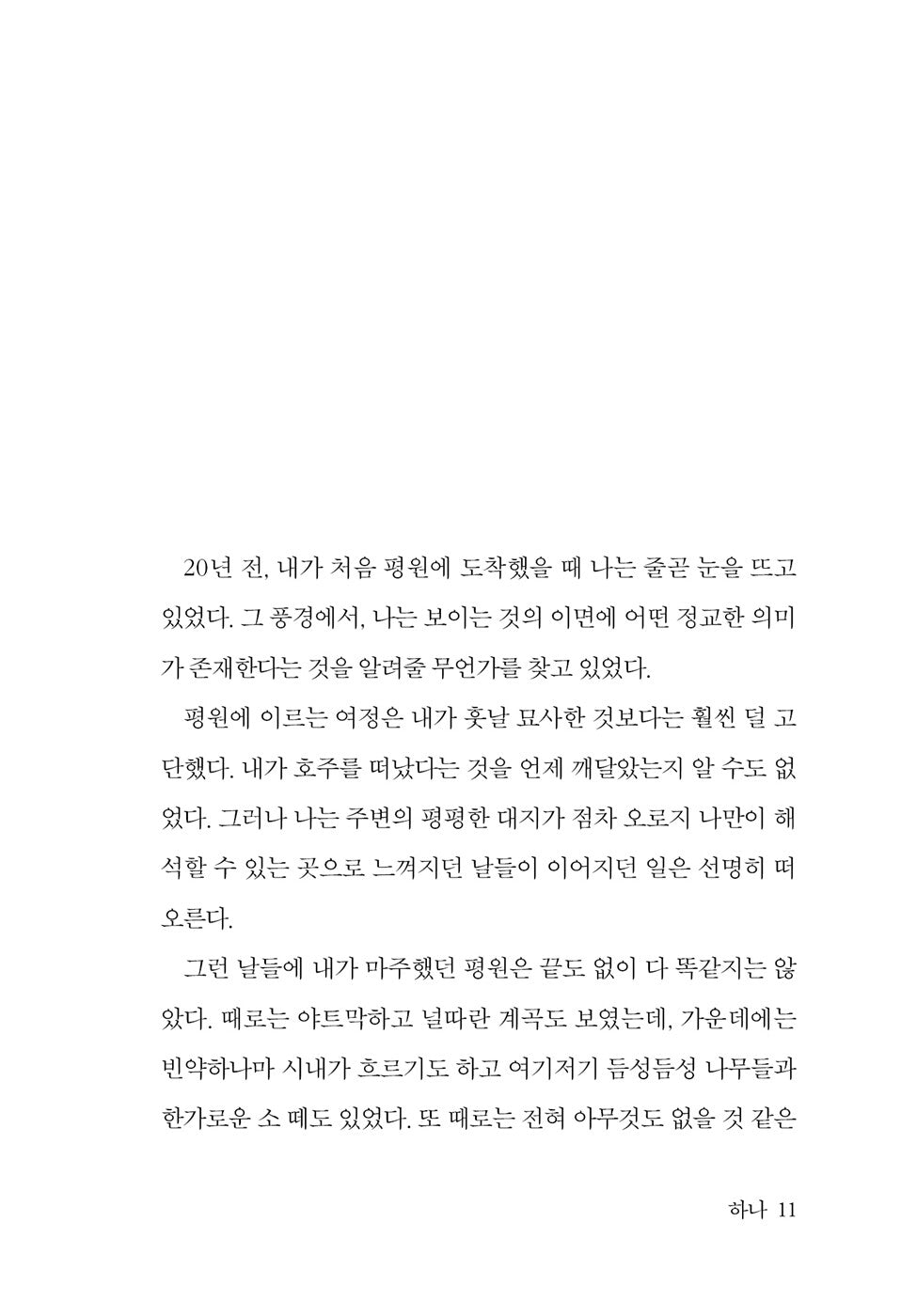 The Plains by Gerald Murnane (Korean Book)