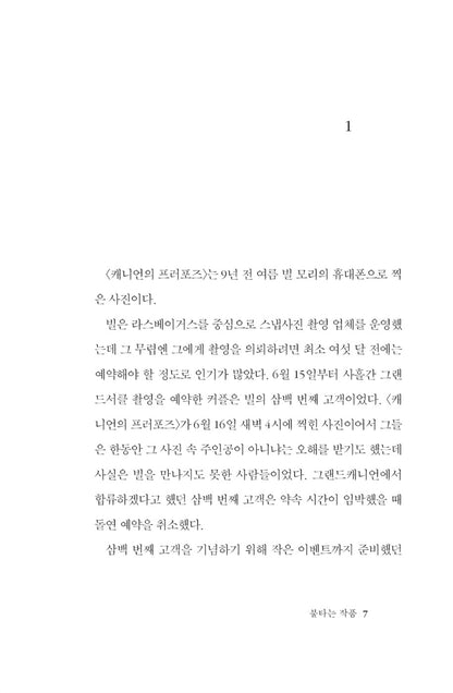 The Burning Work by Yun Ko-eun Korean Edition