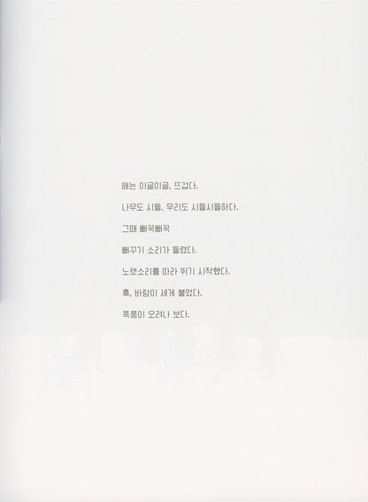 Summer by Suzy Lee | Korean Edition Picture Books
