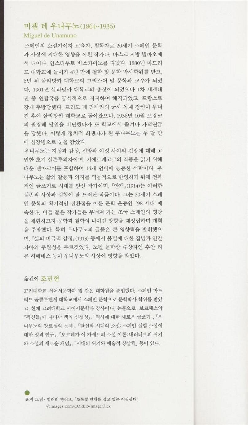 Mist (Niebla) by Miguel de Unamuno | Korean Edition