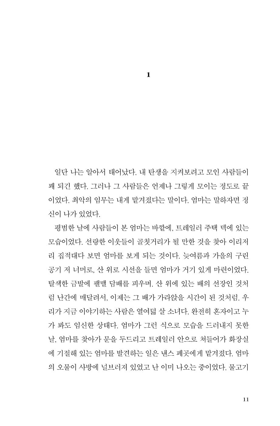 Demon Copperhead by Barbara Kingsolver, Korean, 내 이름은 데몬 코퍼헤드, 바버라 킹솔버