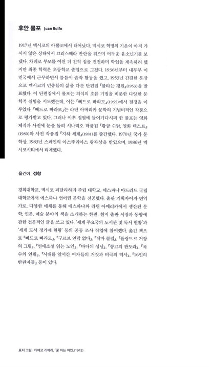 El Llano en llamas by Juan Rulfo | Korean Edition