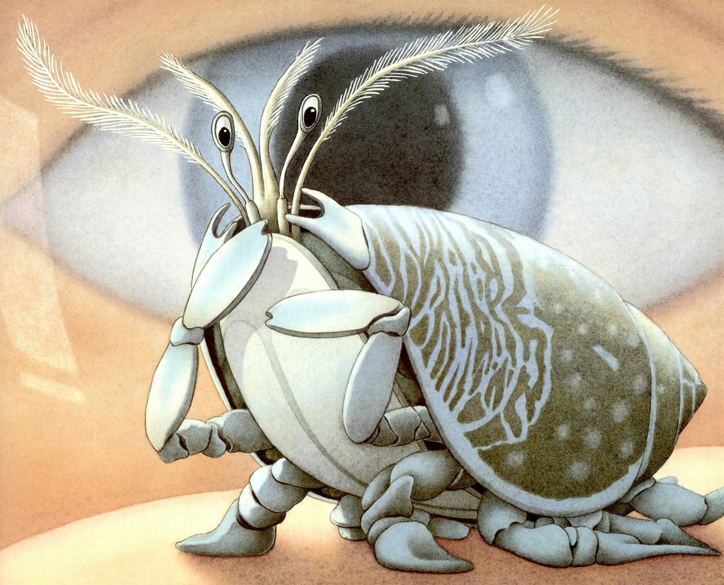 Flotsam by David Wiesner | Korean Edition Picture Books