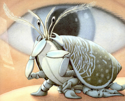 Flotsam by David Wiesner | Korean Edition Picture Books